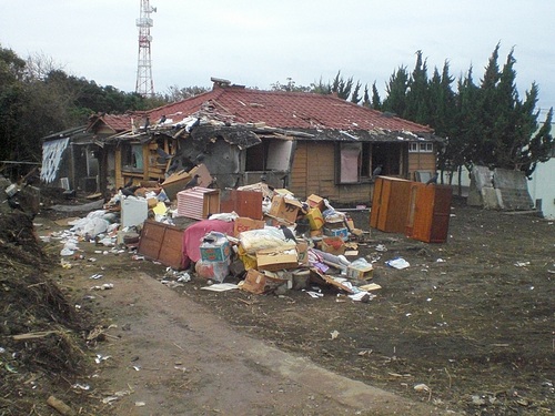 d0098363_8362748.jpg