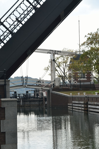 b0170969_22343053.jpg