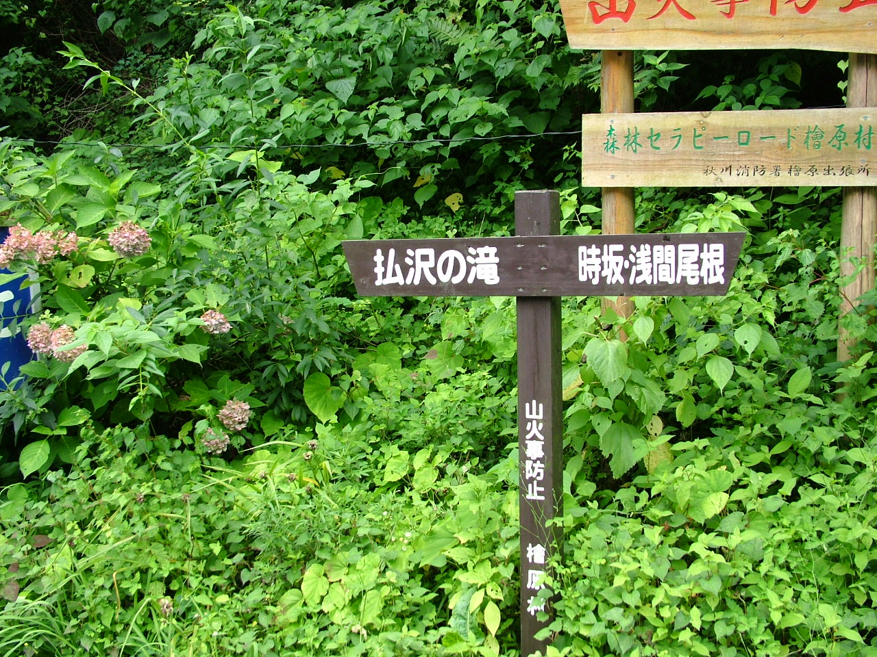 b0141970_2113458.jpg
