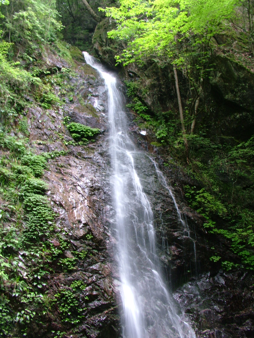 b0141970_2115346.jpg