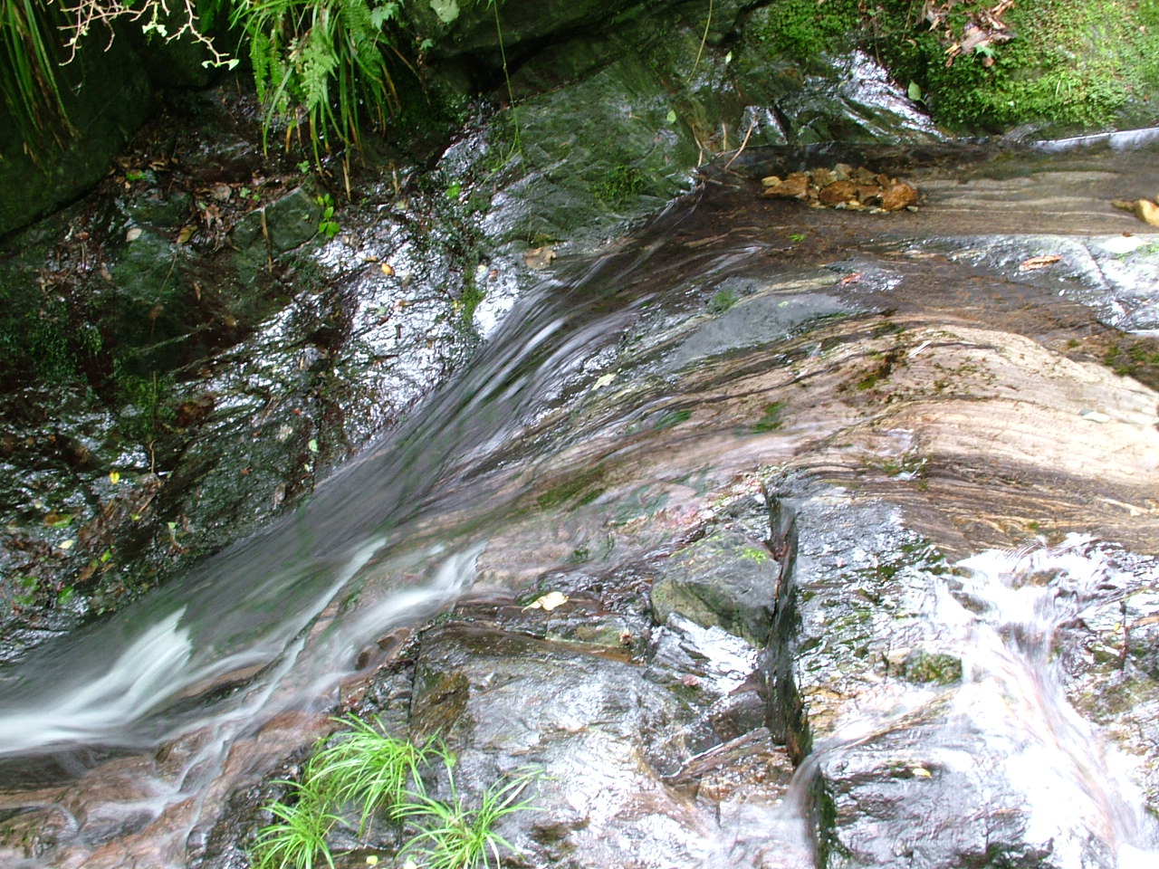 b0141970_21161717.jpg