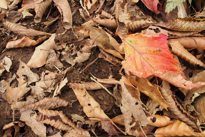 e0307372_124316100.jpg