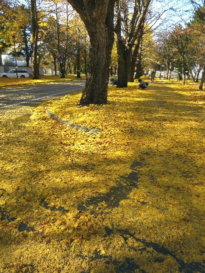 d0084473_20322918.jpg
