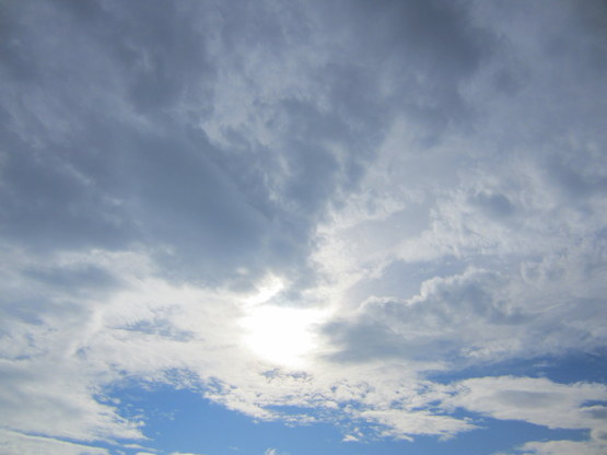 d0264176_15313117.jpg