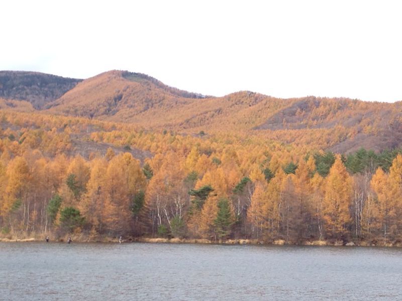 a0091680_230937.jpg