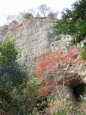 e0012580_19504057.jpg