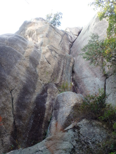f0223480_16504520.jpg
