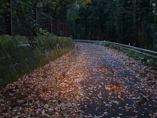 a0279883_8145471.jpg
