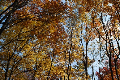 a0133886_15323669.jpg