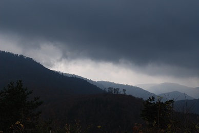 a0133886_1537572.jpg