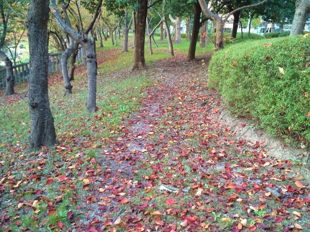 b0307692_1411322.jpg