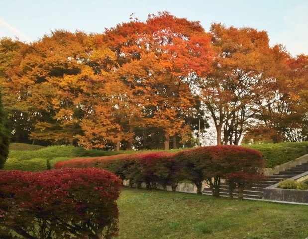 b0307692_1433086.jpg