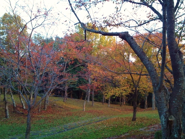 b0307692_1463834.jpg