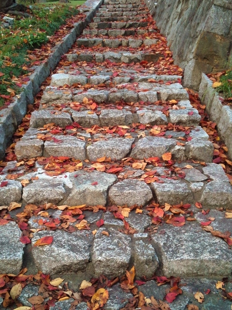 b0307692_147698.jpg