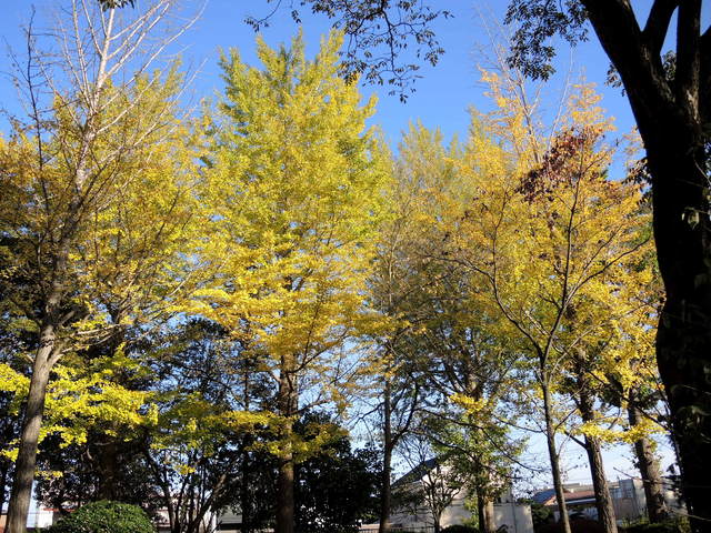 f0100593_17454685.jpg