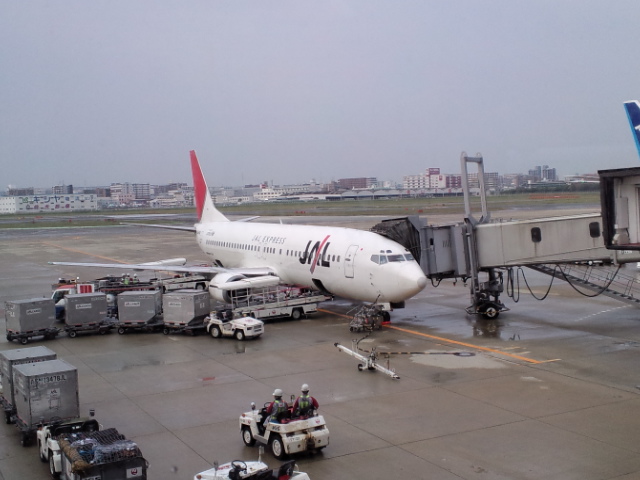 f0042295_1084850.jpg