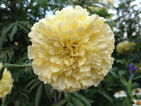 f0201297_94977.jpg