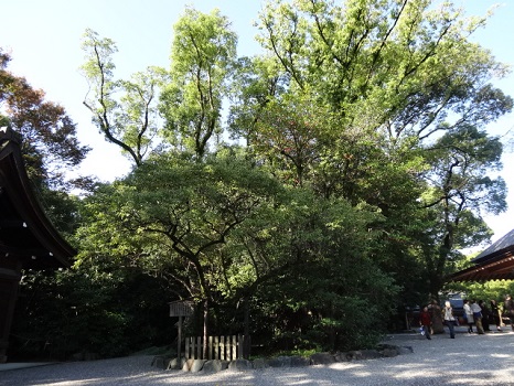 d0257298_21383215.jpg