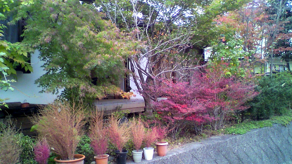 f0108399_9283463.jpg
