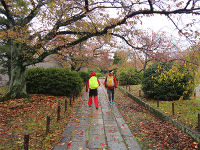 b0108100_21115382.gif