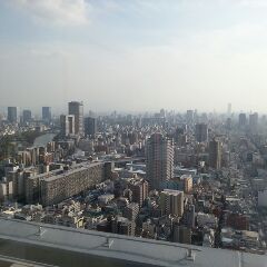 f0196800_85734.jpg