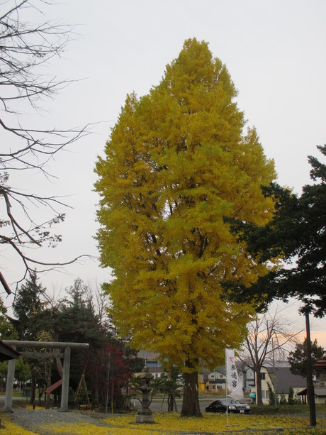 f0202703_6262666.jpg