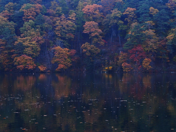 f0302208_21201517.jpg