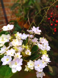 d0024809_17291441.jpg
