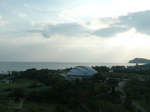 a0019212_16175665.jpg