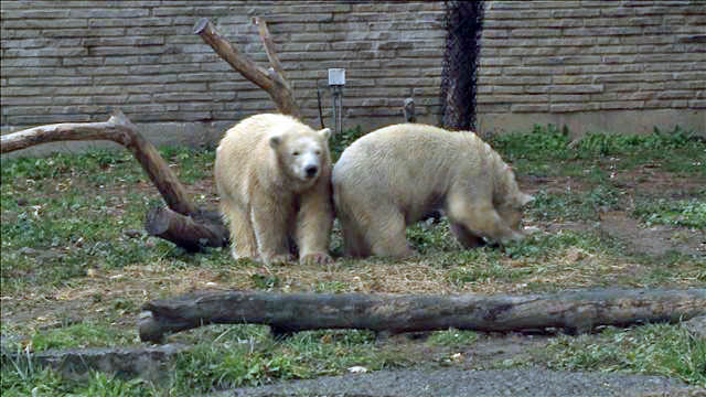 a0151913_9263756.jpg