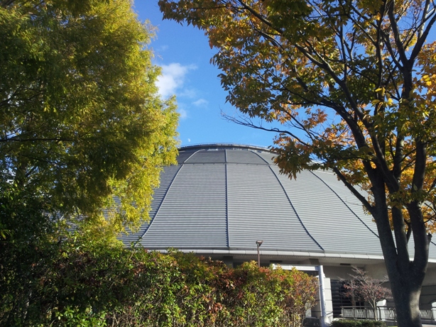 e0033713_17215131.jpg