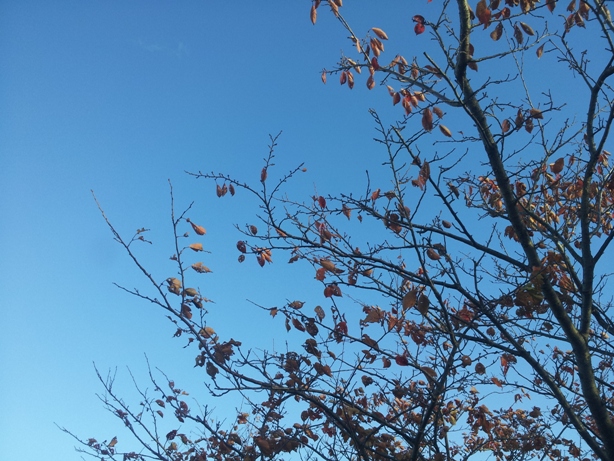 e0033713_17421741.jpg