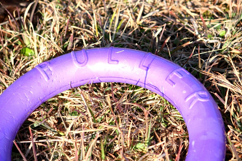 e0204314_1692512.jpg