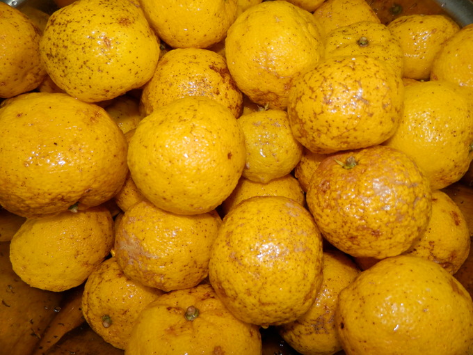 a0125419_19453459.jpg
