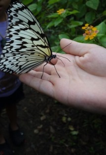 f0142821_937566.jpg