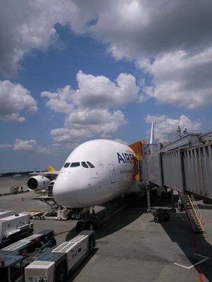 d0098022_0195346.jpg