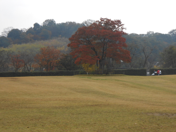 f0295722_14112030.jpg