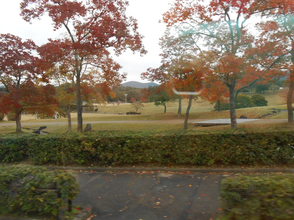 f0295722_1645985.jpg