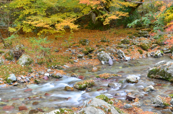 b0279623_11231675.jpg