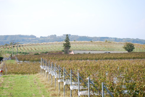e0202231_125496.jpg
