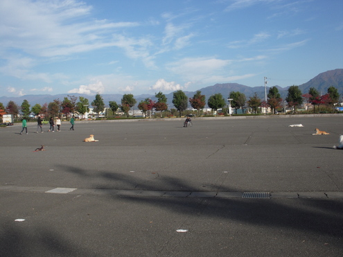 c0114833_958331.jpg
