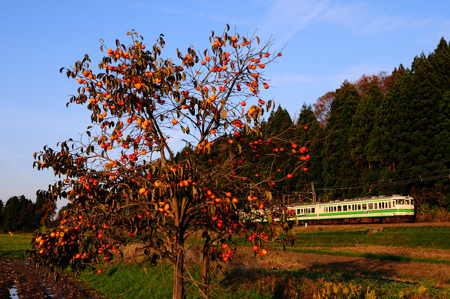 a0224334_1592584.jpg