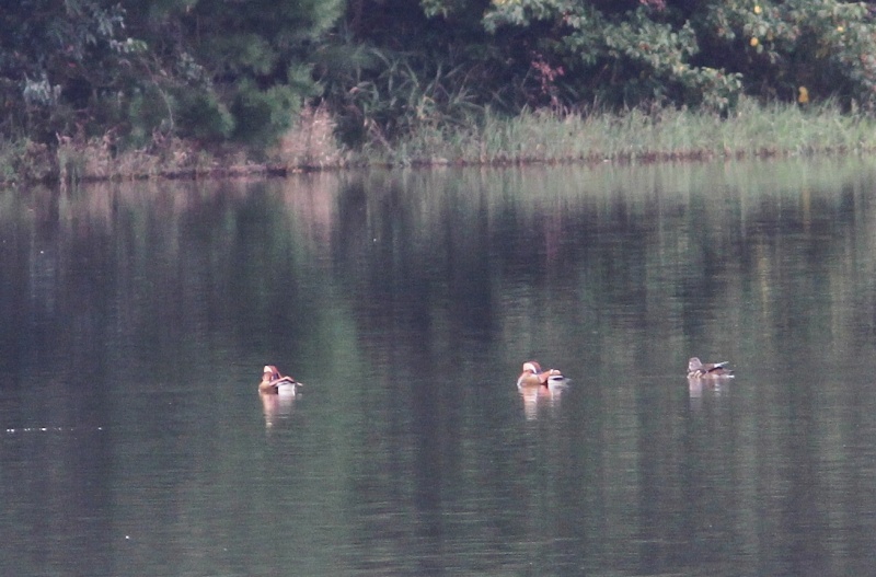 c0172139_0193351.jpg