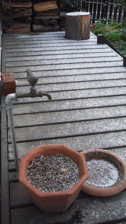 c0137641_1313490.jpg