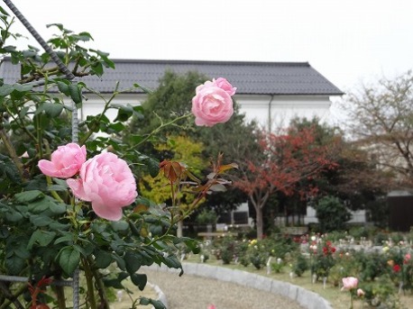 b0299042_21345839.jpg