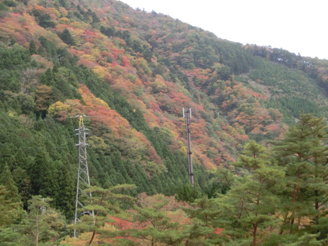 c0194042_15353479.jpg
