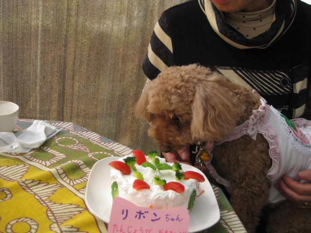 c0134645_170272.jpg