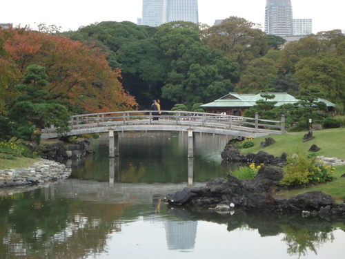 a0099446_144860.jpg