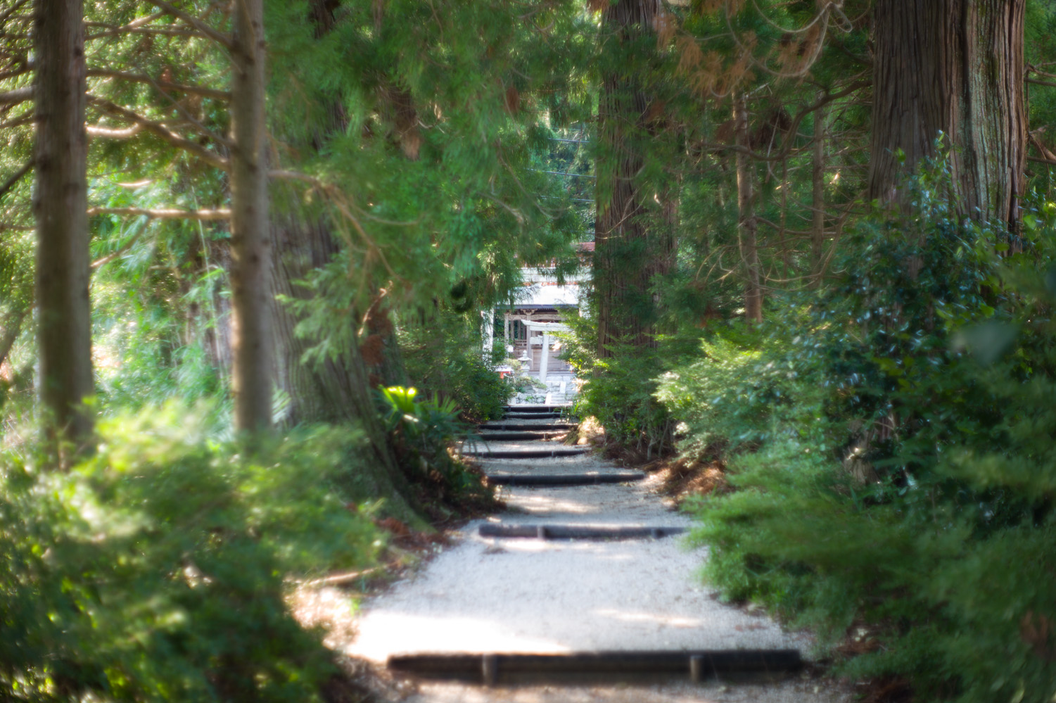 f0139146_01160196.jpg