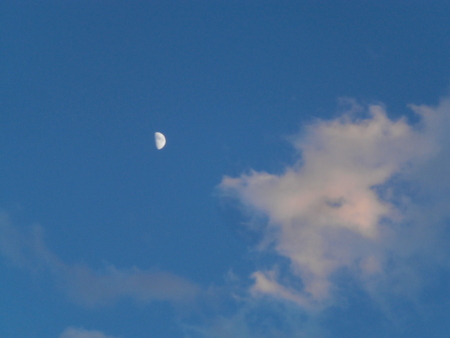 e0121548_20233864.jpg